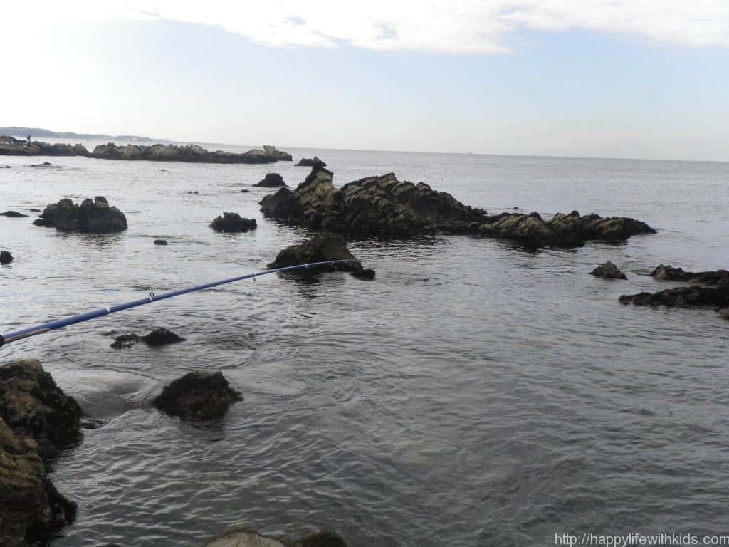 三浦半島で子供と魚釣り：荒崎公園 HappyTravel&LifewithKids