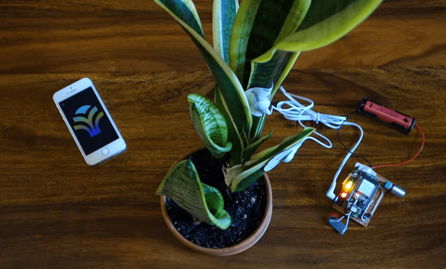 PlantWave the innovation that lets you listen to the music of plants