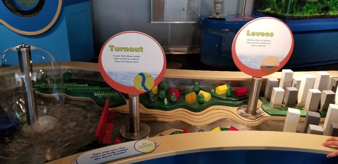 Best Tips Peggy Notebaert Nature Museum. Chicago Musuem for kids with unforgettable Butterly exhibit, reptiles, playareas and more. Learn where to park, eat and things to do for a great Family day out. #notebaert, #chicago, #traveltips, #familytravel