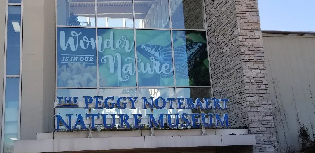 8 Best Museums in Chicago with kids. Things to do while visiting these cool Chicago Attractions. Find out which is museum is right for your family. Check out the Field Museums, Science and Industry, Shedd Aquarium, Planetarium, Chicago Children's Museum and more. Fun Places to visit in Chicago with Kids! #museum #chicagoattractions #chicagomuseums #kids #familytravel #traveltips