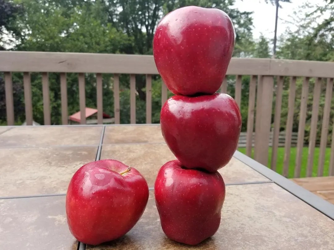 Kids have 1 minute to stack apples in this funny minute to win it game. 