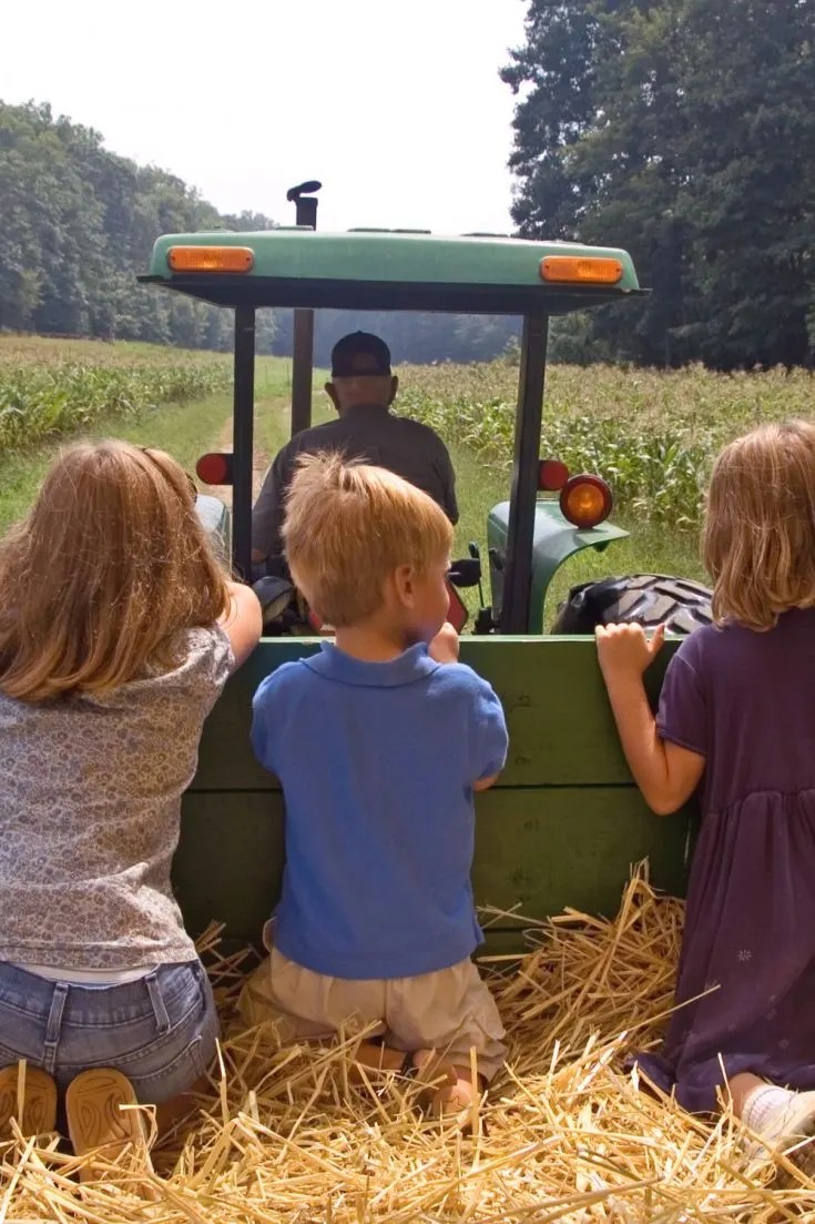 60 Fun Fall Activities for Kids Your 2024 Bucket List | Happy Mom Hacks