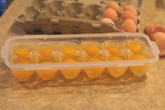 Can you FREEZE EGGS? **YES!** Here is how to Freeze Eggs