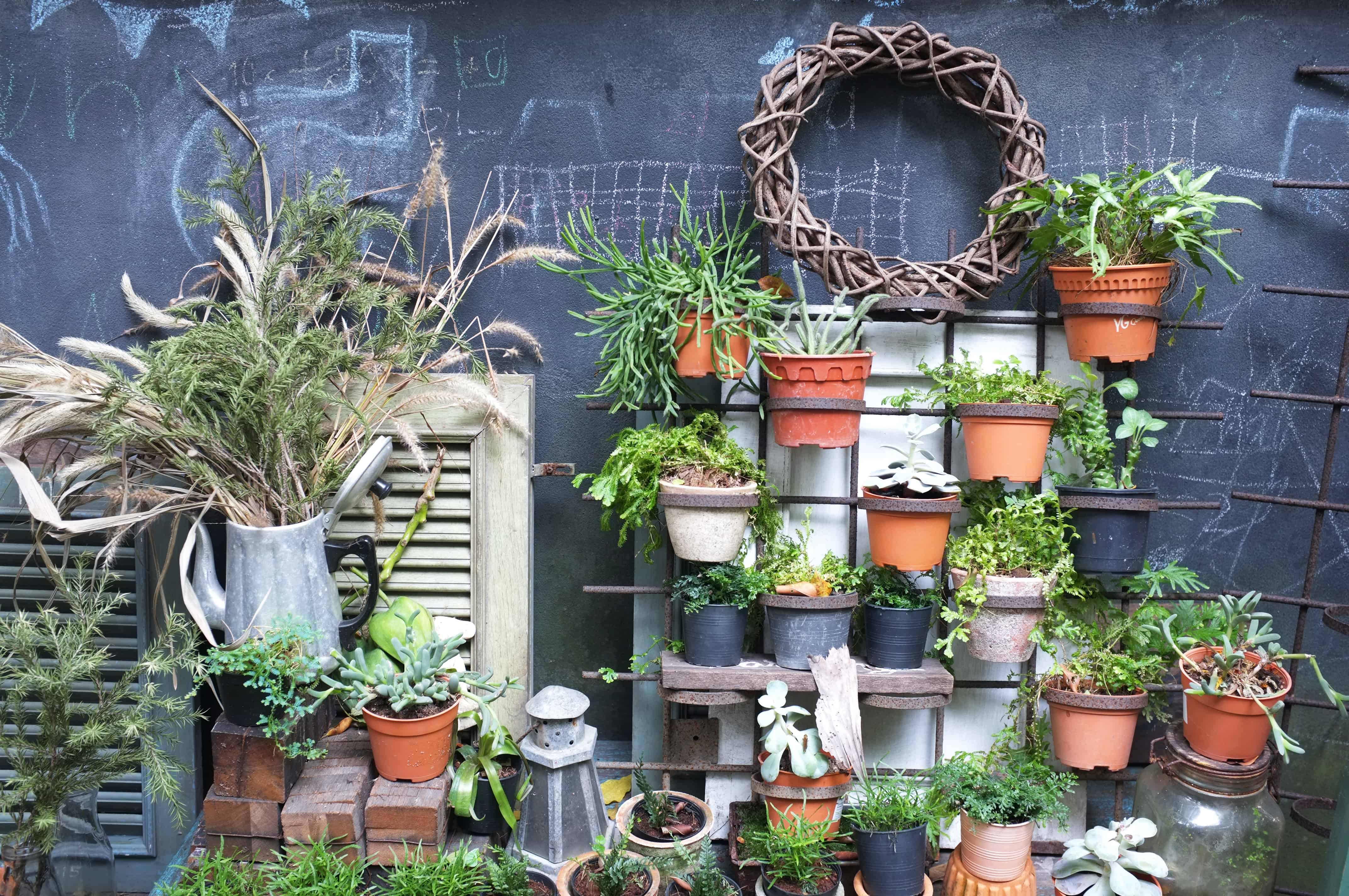 Creative Gardening for Small Spaces Apartment Living