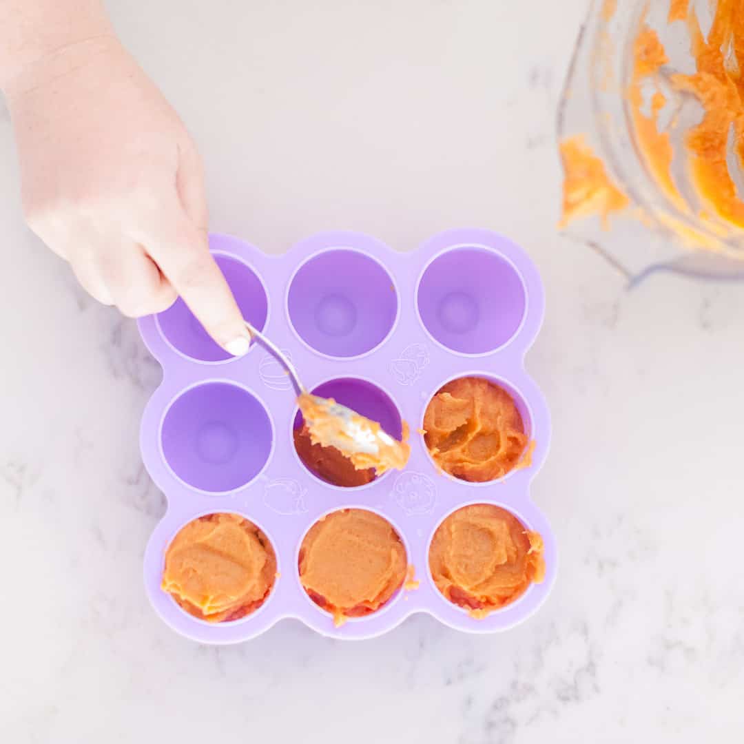 Homemade Make Ahead and Freeze Baby Food Happy Money Saver
