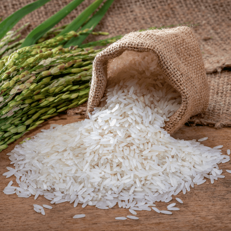 Good Rice to Go with Salmon (11 Best Kinds of Rice) Happy Muncher