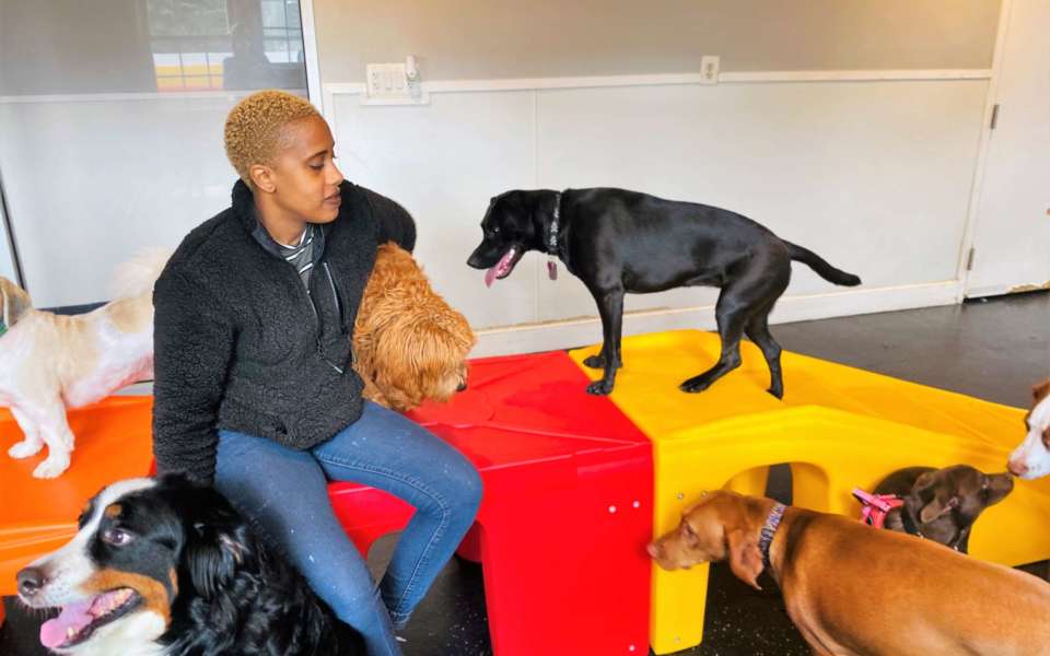 Happy Paws A fun place for dogs to learn