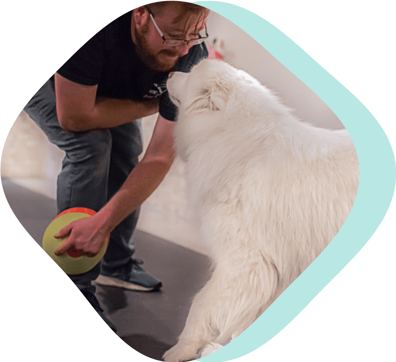 Daycare Happy Paws & Puptagon