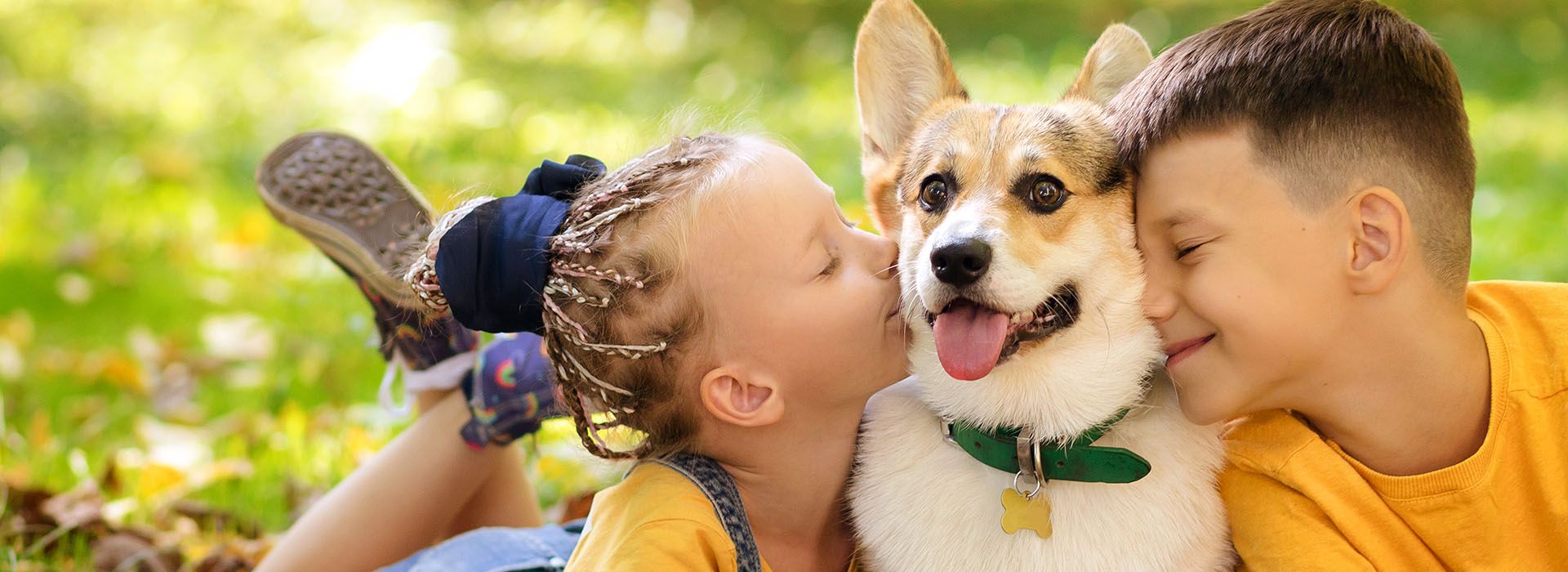 Happy Paws House Calls Holistic Mobile Vet Morristown, Jersey City