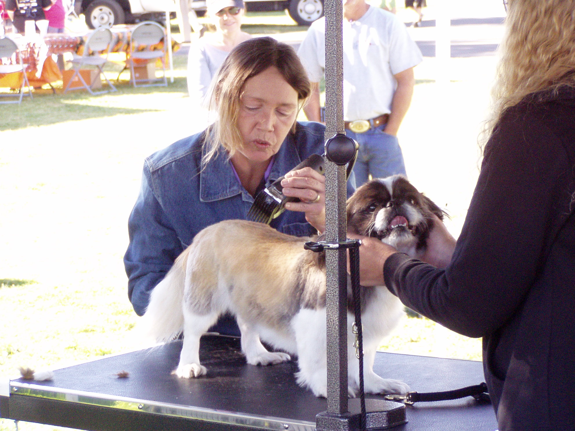 Happy Paws Grooming Salon …FOR HAPPY DOGS