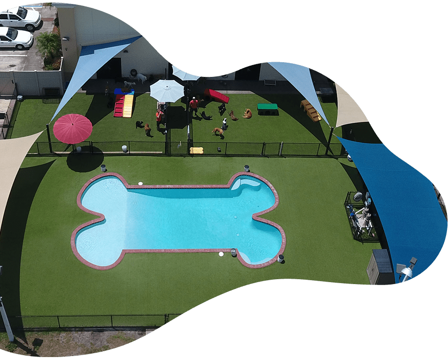 Happy Paws Orlando We are your pet's best friend, while you are away!