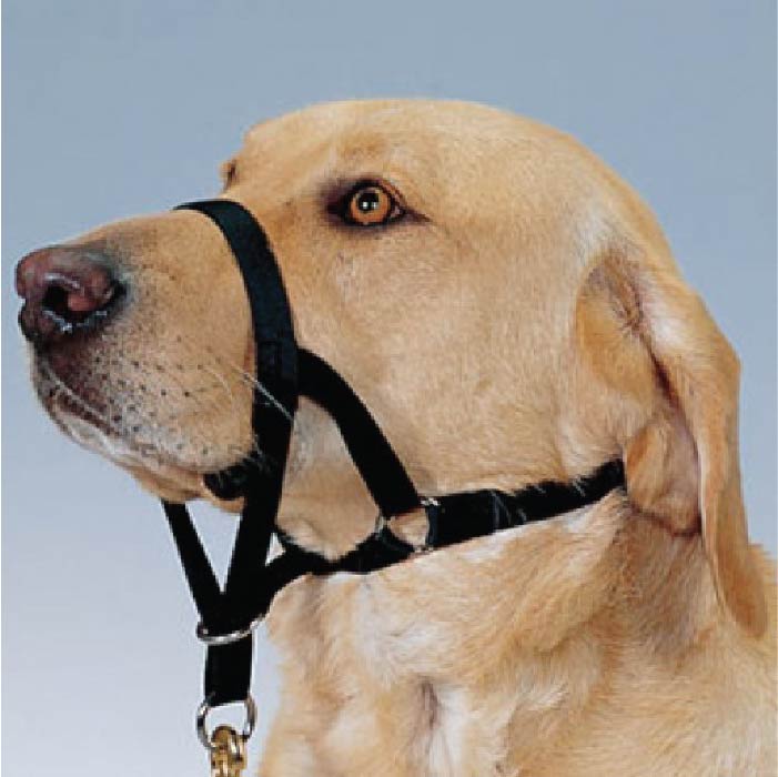 Collar De Entrenamiento Tipo Halti HAPPY PETS CO