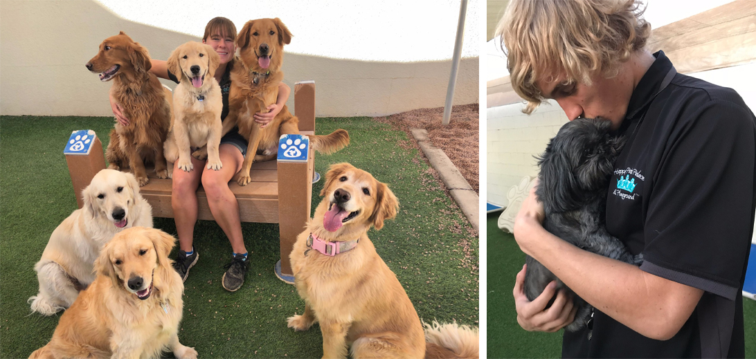 Doggy Daycare Happy Pets Palace & Playground