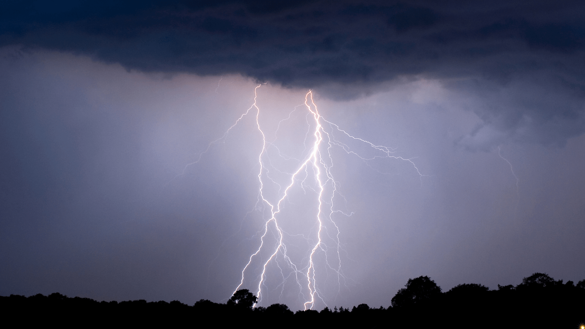The Surprising Reason Some Dogs Hate Thunderstorms Happy Puppy Tips