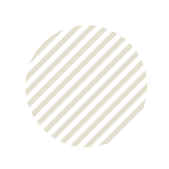 Dog Grooming in Dubai Mobile Dog Groomers in Dubai