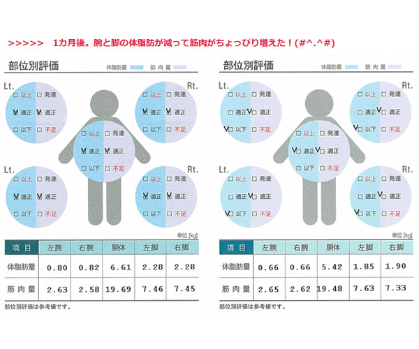 体組成チェック・「部位別の判定評価」腕と脚の脂肪量が減った♪ ｜ 体脂肪率＊31％＊からのダイエット
