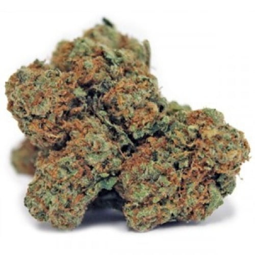 Sunset Strain Sunset Seeds From