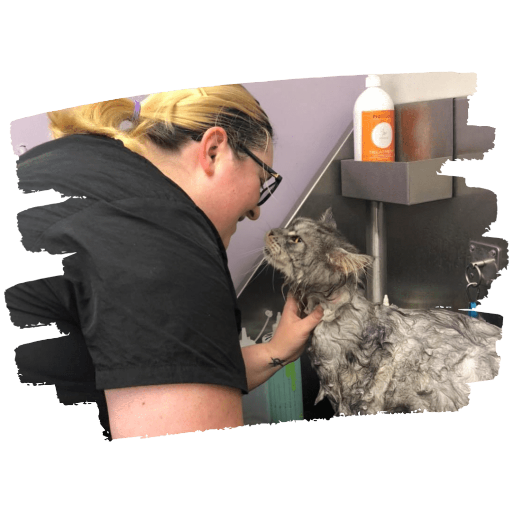 About Us New Lexie's Dog and Cat Grooming