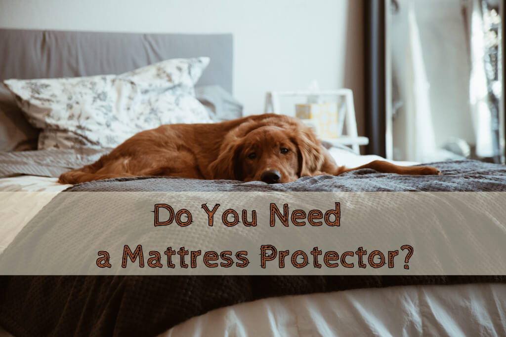 Do You Need a Mattress Protector? 7 Reasons You Do