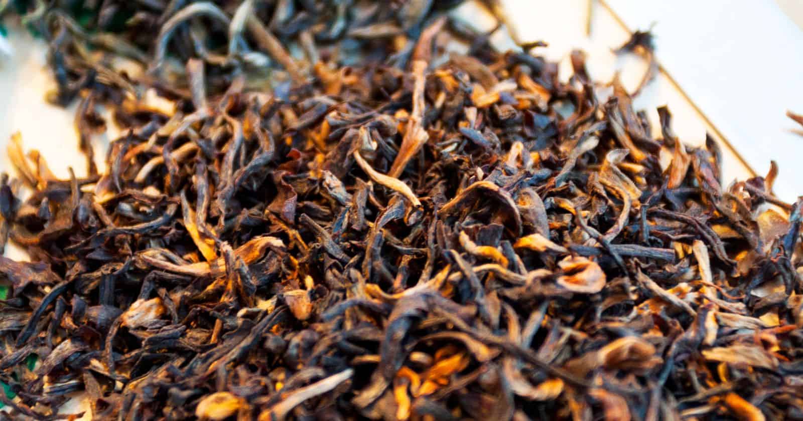 Assam Tea As A Spice The Bold And Flavorful Secret To Your Cooking
