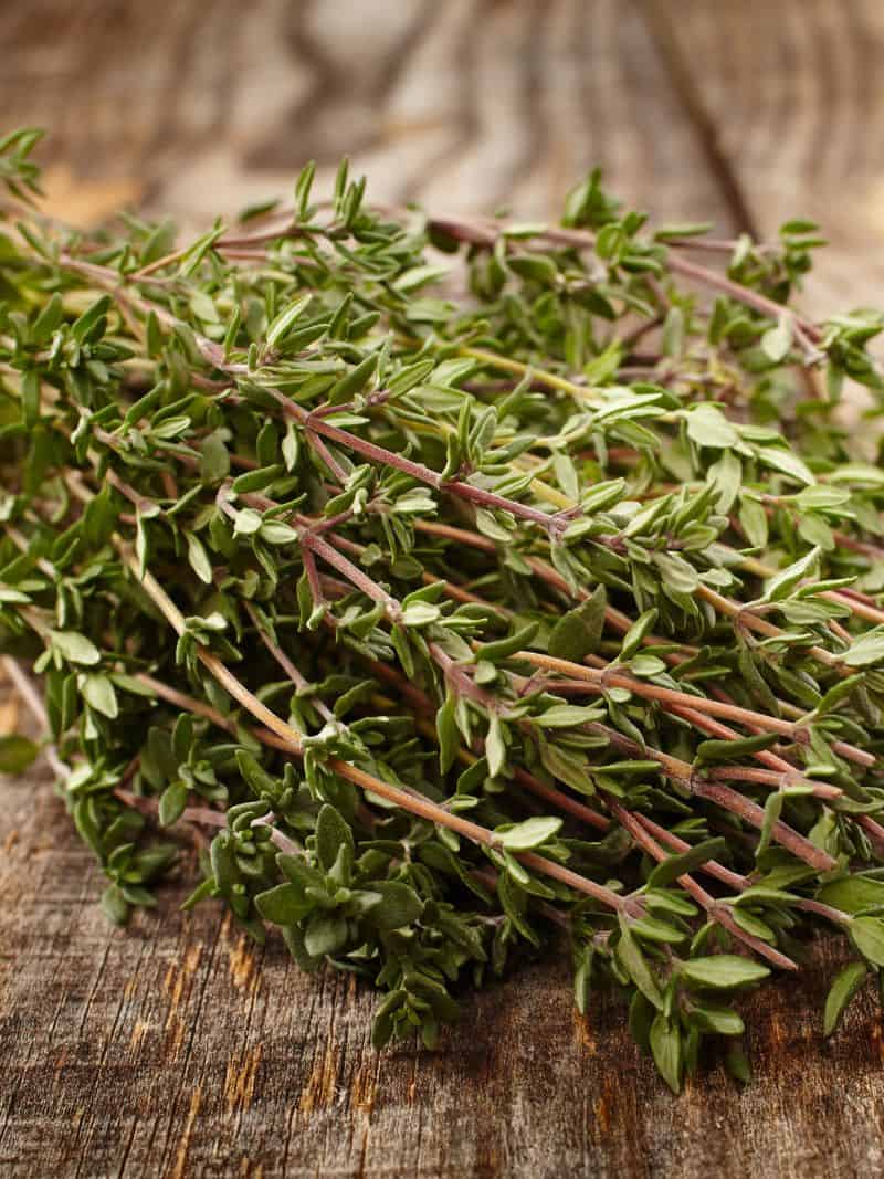 Thyme The Aromatic Herb for Cooking and Health