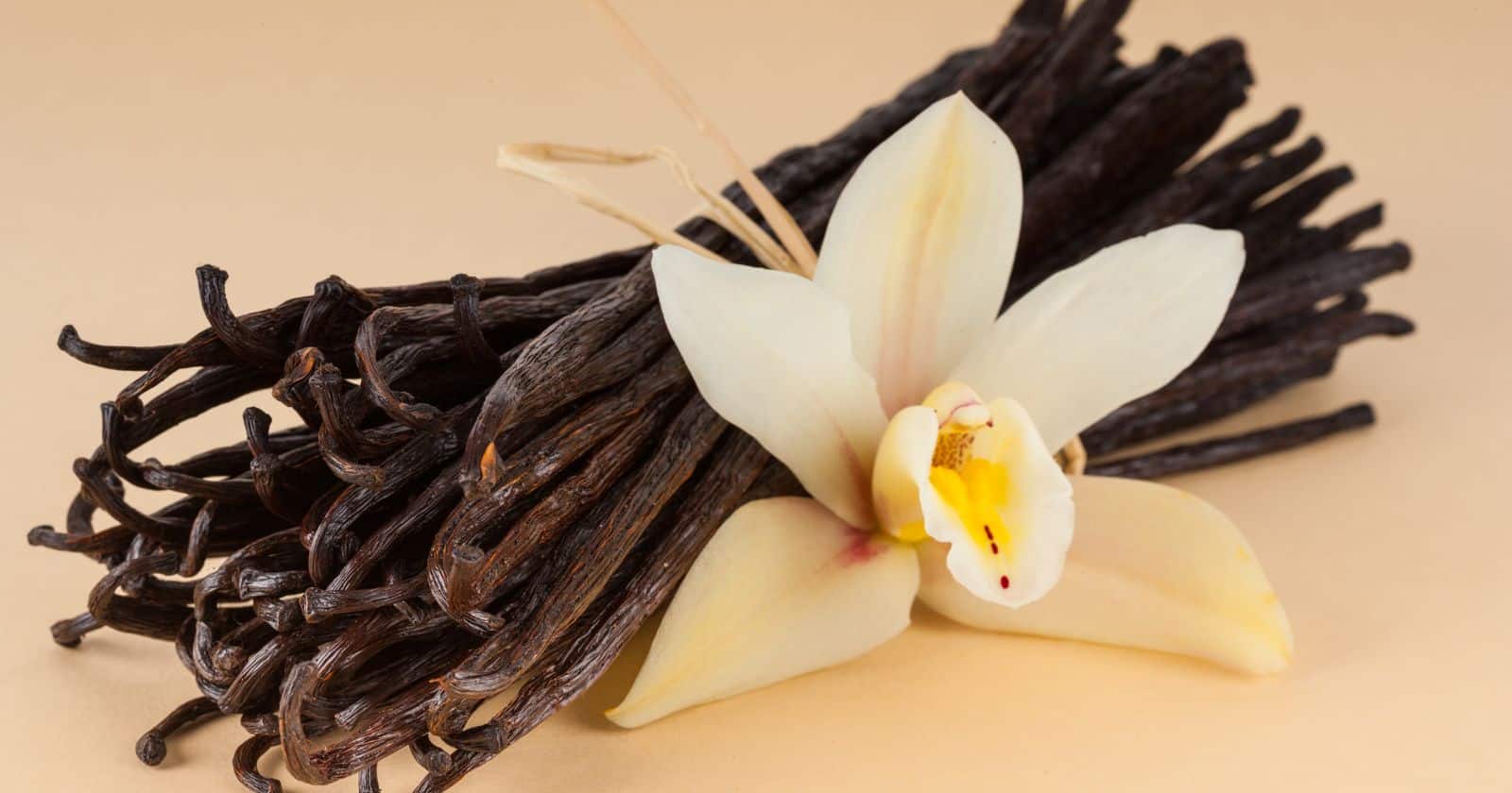 Vanilla Ultimate Guide: Health Benefits And Culinary Uses