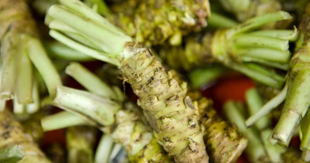 Is Wasabi Supposed to Be Spicy?