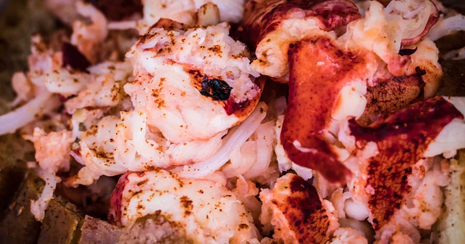 How Much Meat is in a Lobster and How to Get the Most Out of It