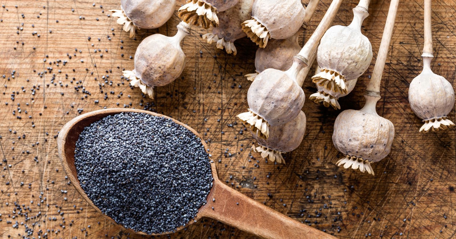 Poppy Seed 101 Everything You Need to Know About This Versatile Spice