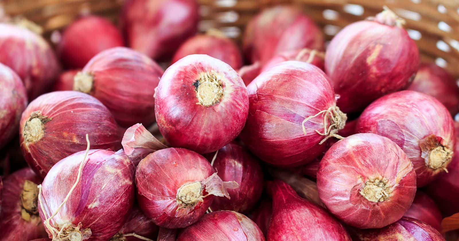 Shallots 101 Everything You Need to Know