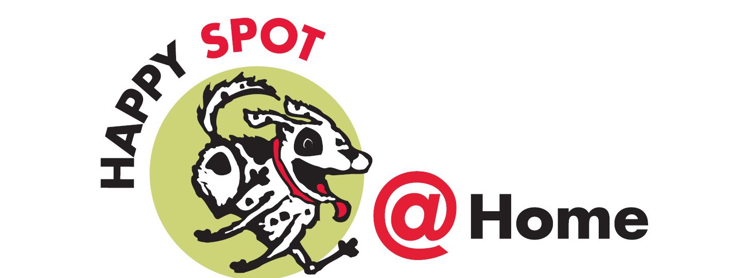 InHome Pet Care KY Happy Spot Pet Resort