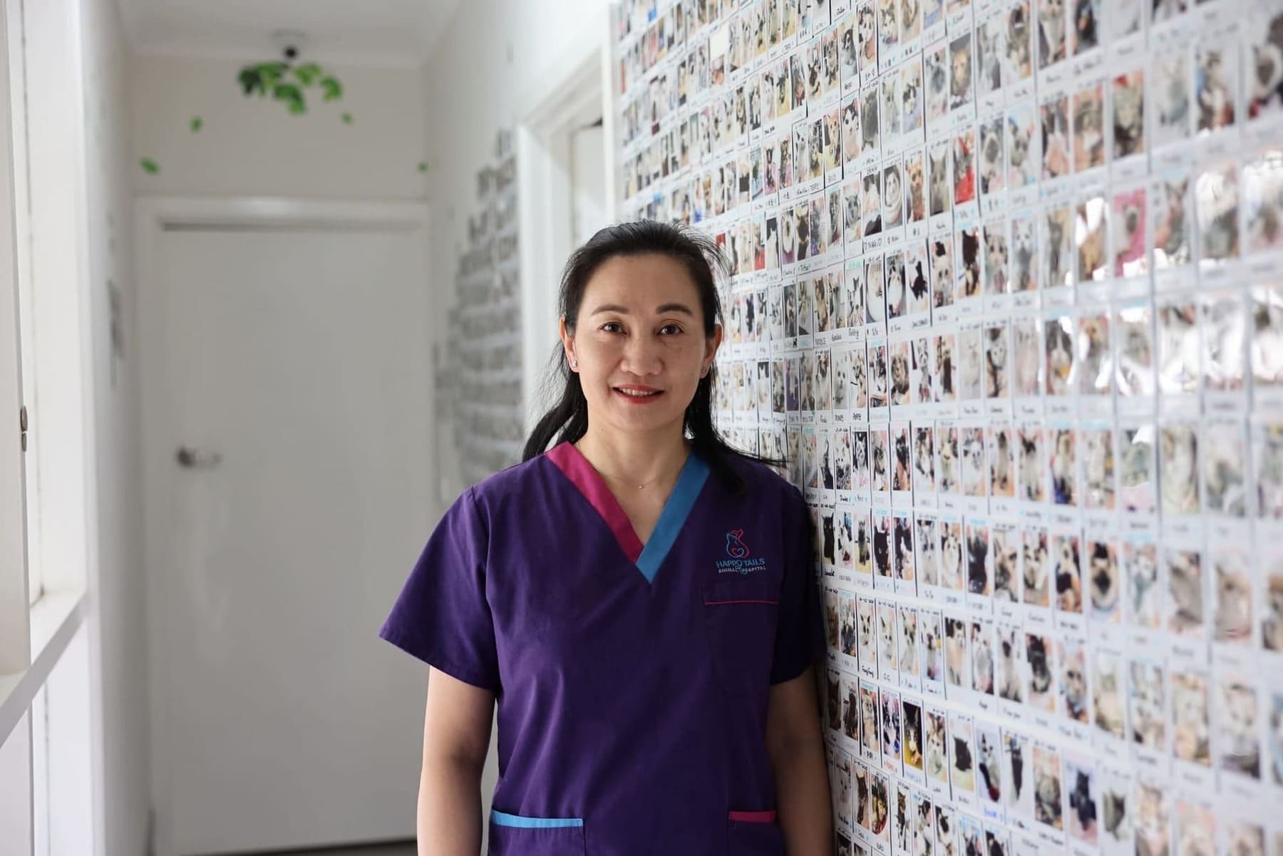 Animal Medical Centre About Happy Tail Vet