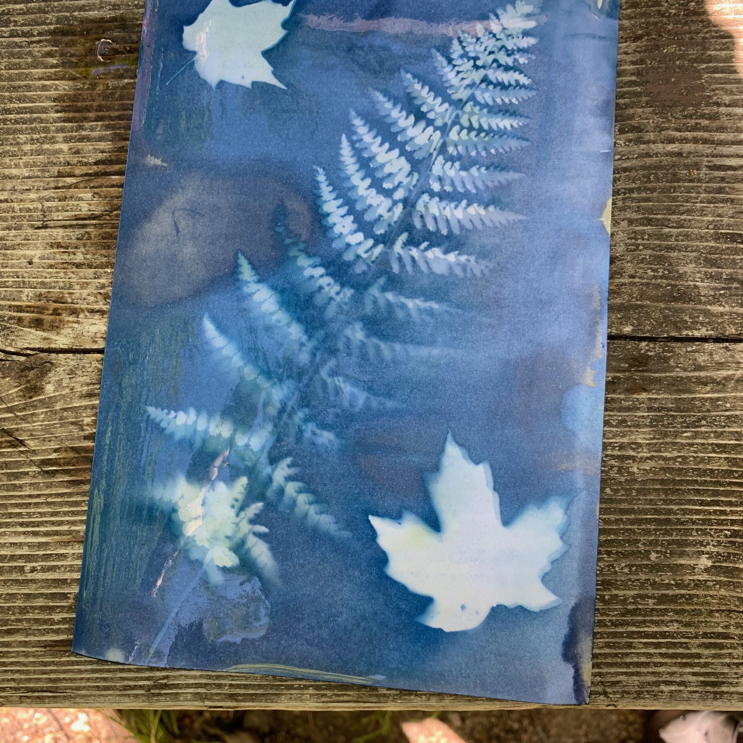 How to Make Sun Prints Happy Toddler Playtime