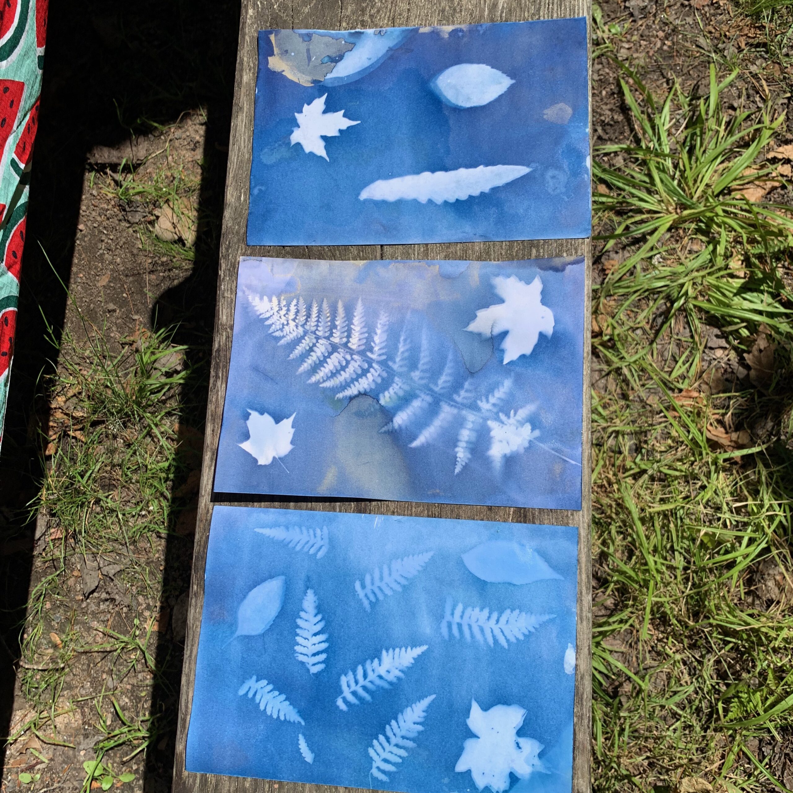 How to Make Sun Prints Happy Toddler Playtime