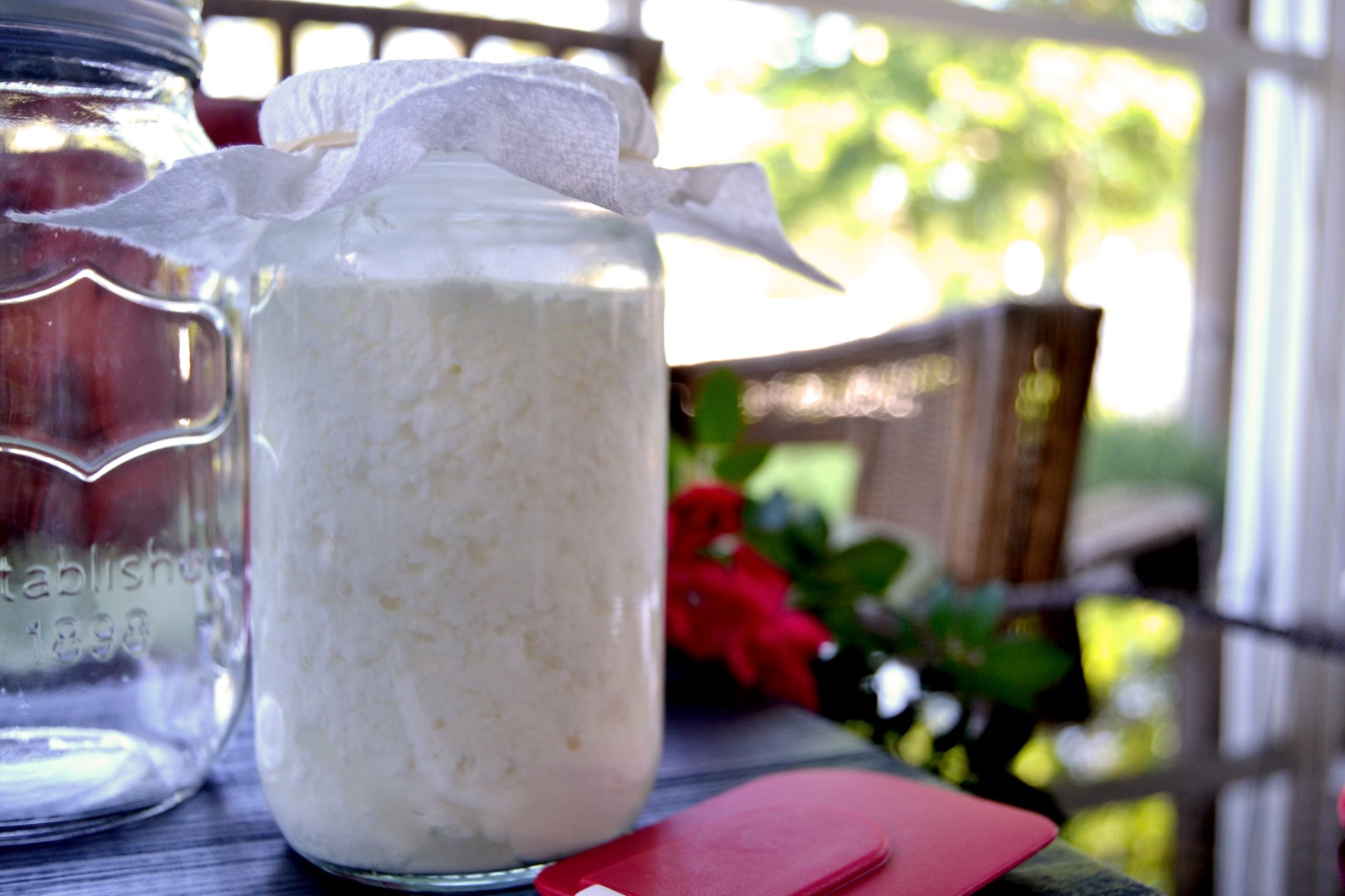 Better than Yogurt…Try Kefir!