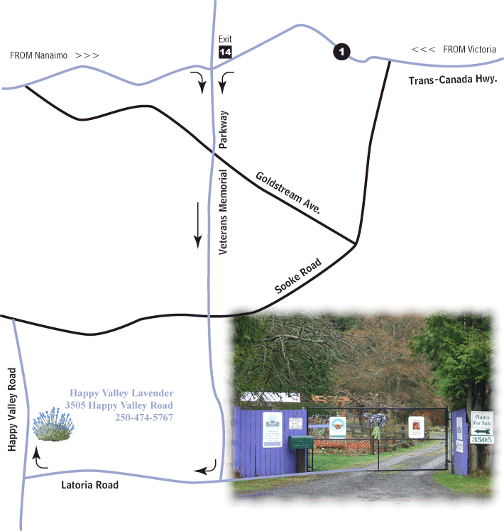 Lavender Map and Directions Happy Valley Lavender and Herb Farm