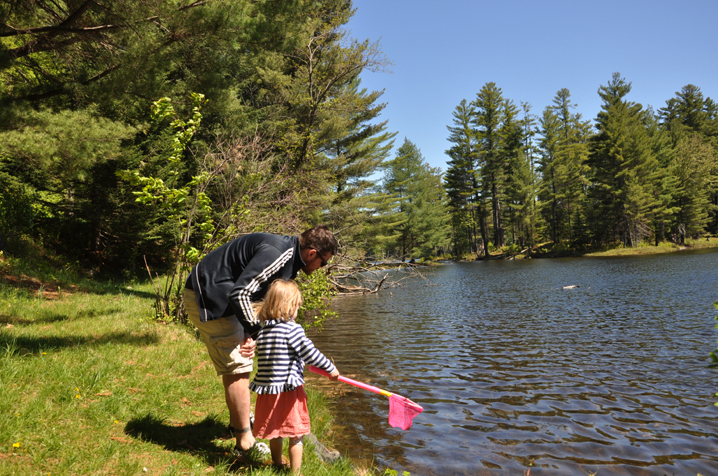 A Nice Surprise at Lowell Lake State Park in Londonderry