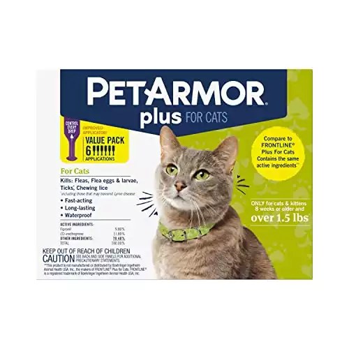 PetArmor Vs. Frontline Which Cat Flea Treatment Is Better?