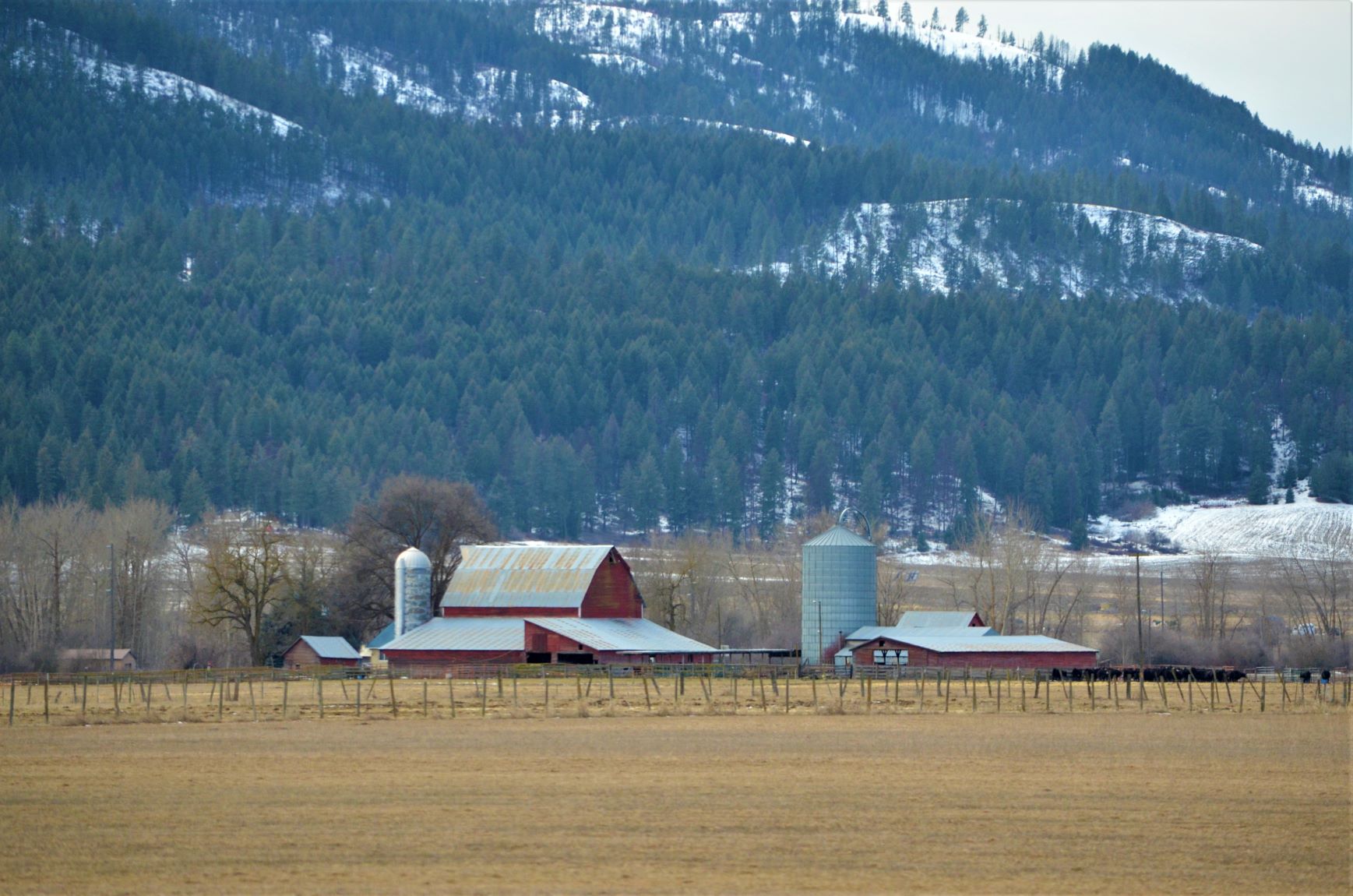 Laurier Washington The Happy Wonderer ellen b.