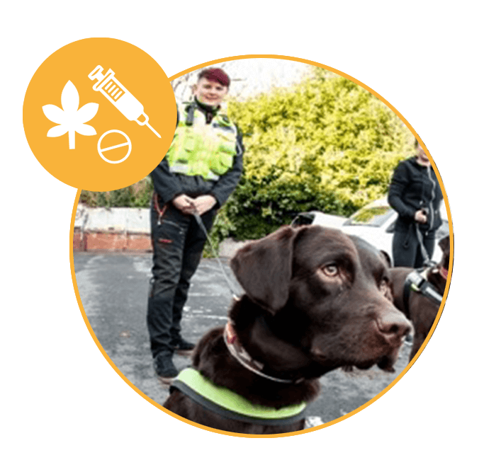 Drugs, Pyrotechnics & Explosive detection handlers Security Services