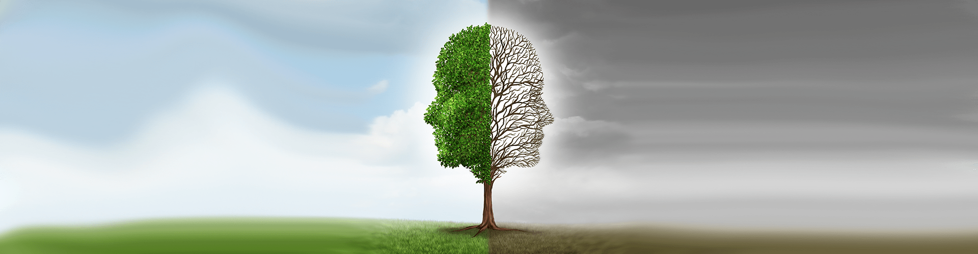 Haptonomy Haptonomy and Haptotherapy