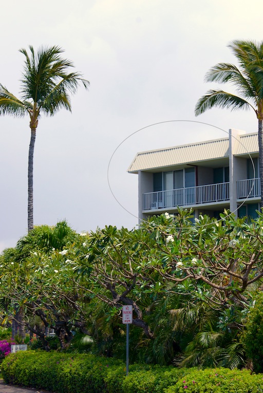 Hapuna Beach Condo Kohala Coast