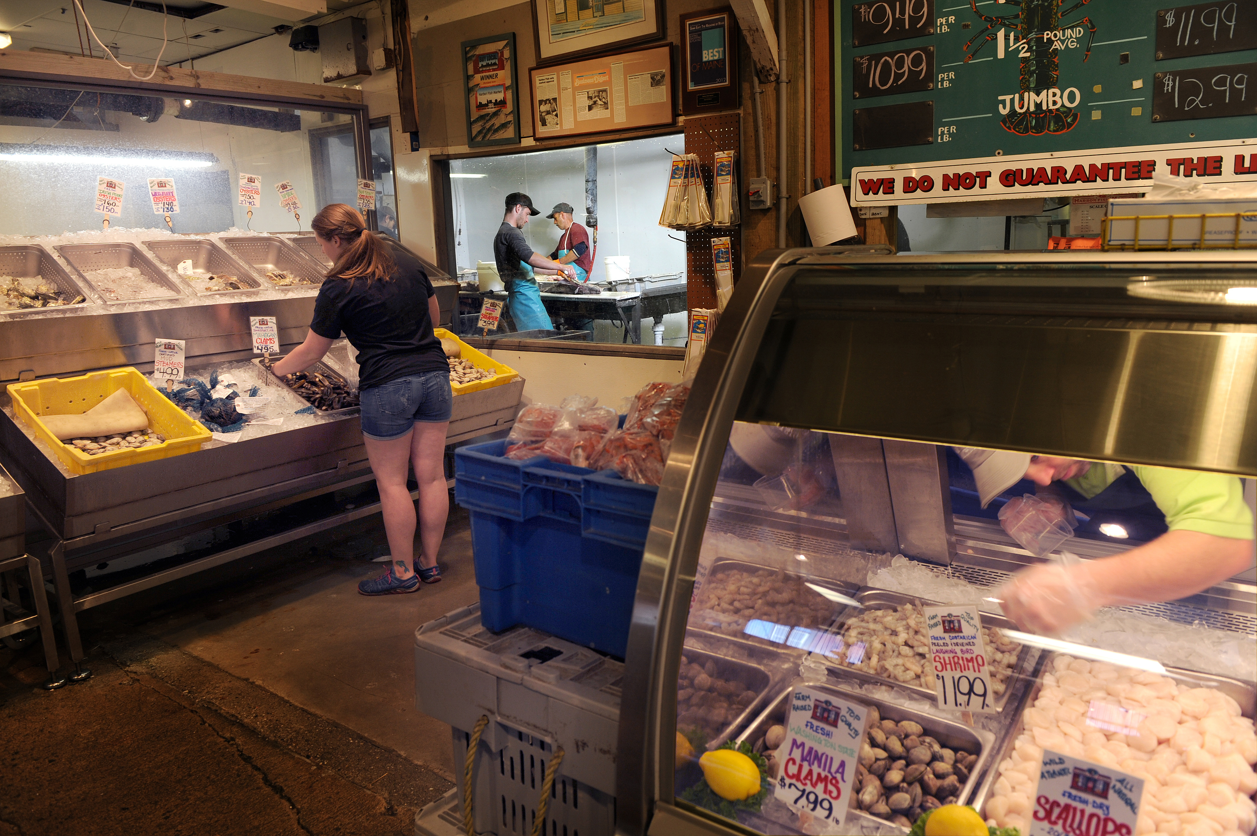 20160602 Photo by Fred FieldC. 2016Harbor Fish, Portland, Maine