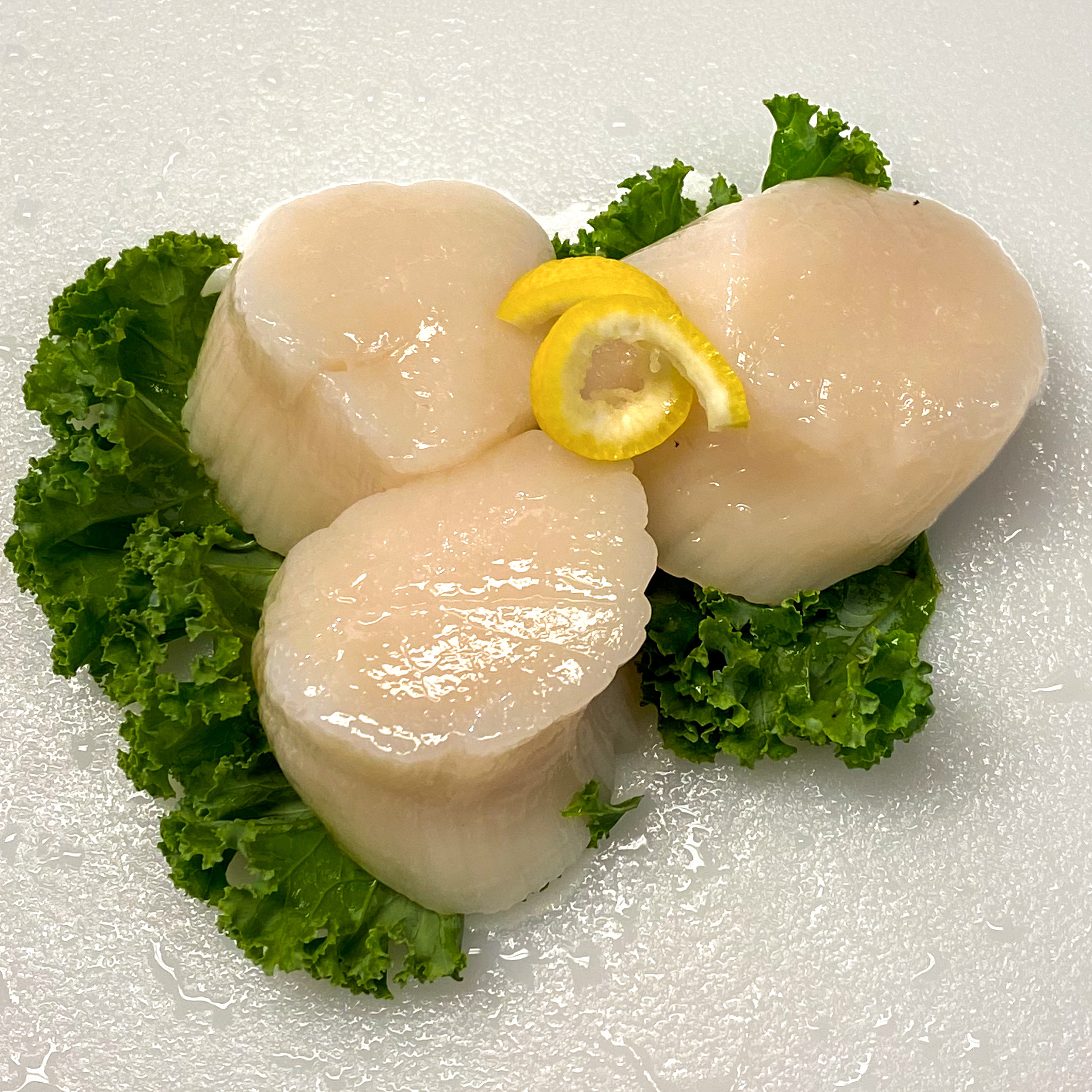 Fresh Scallops (Jumbo) • Harbor Fish Market