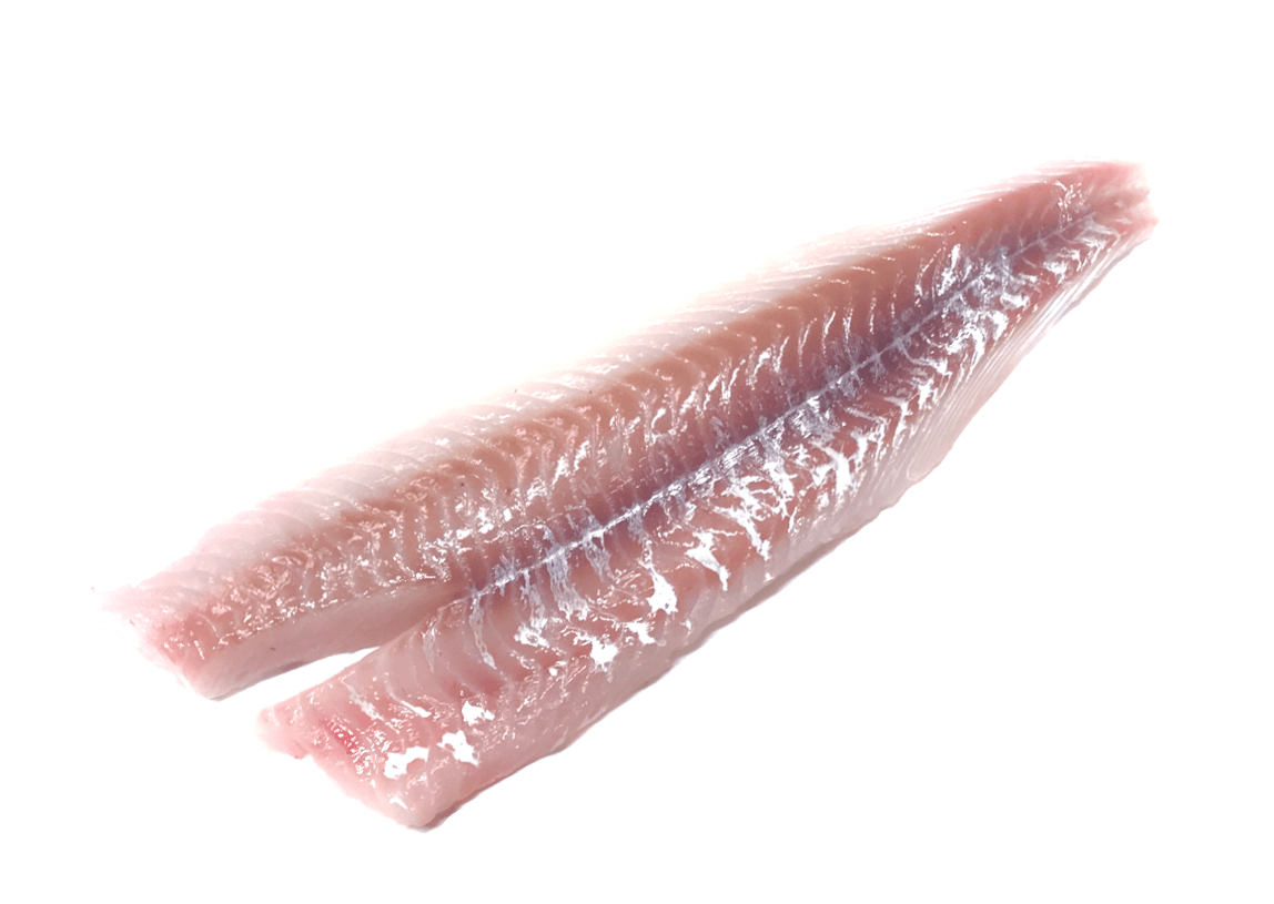 Fresh Pollock Fillet • Harbor Fish Market