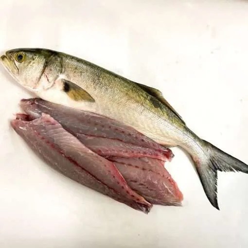 Fresh Bluefish Fillet • Harbor Fish Market