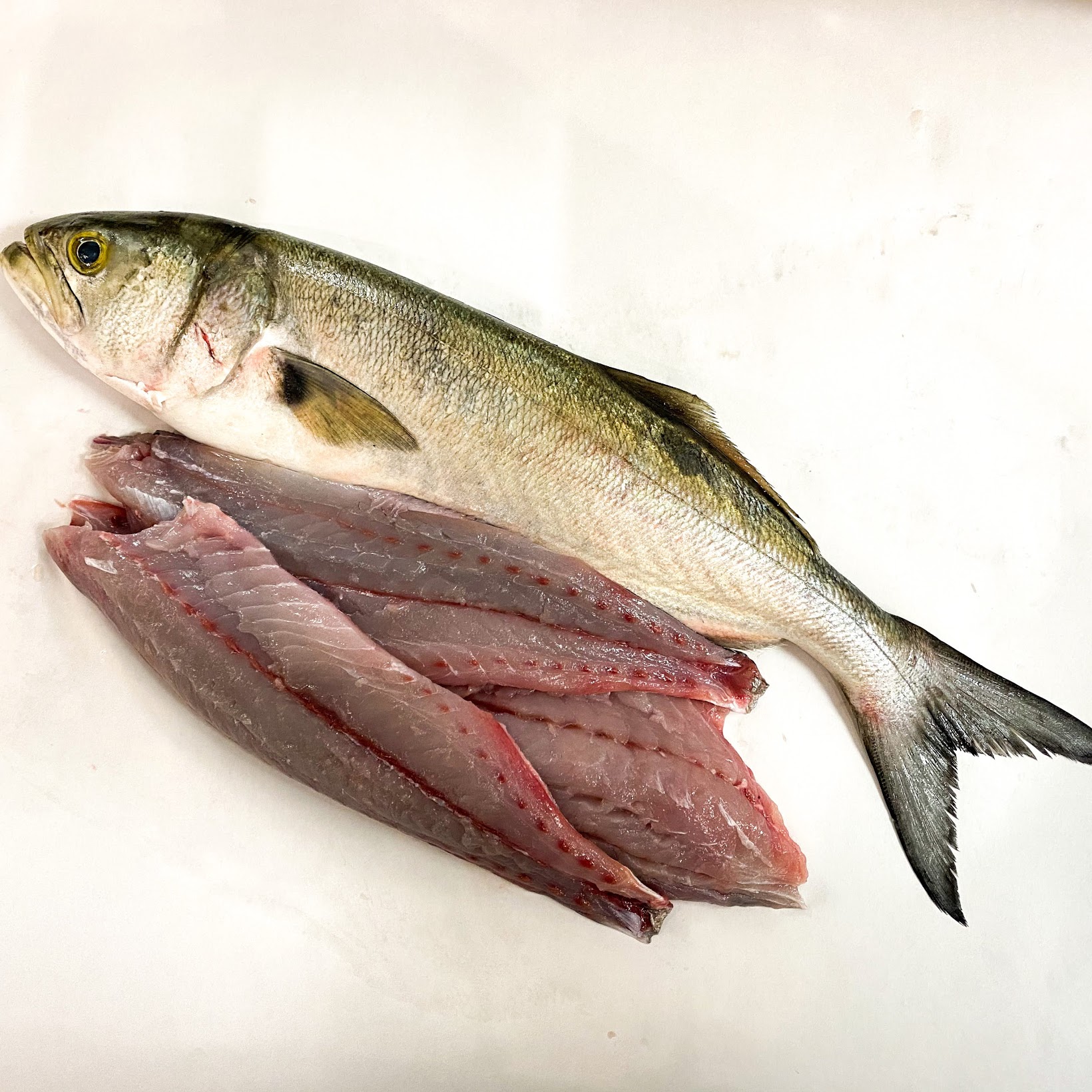 Fresh Bluefish Fillet • Harbor Fish Market