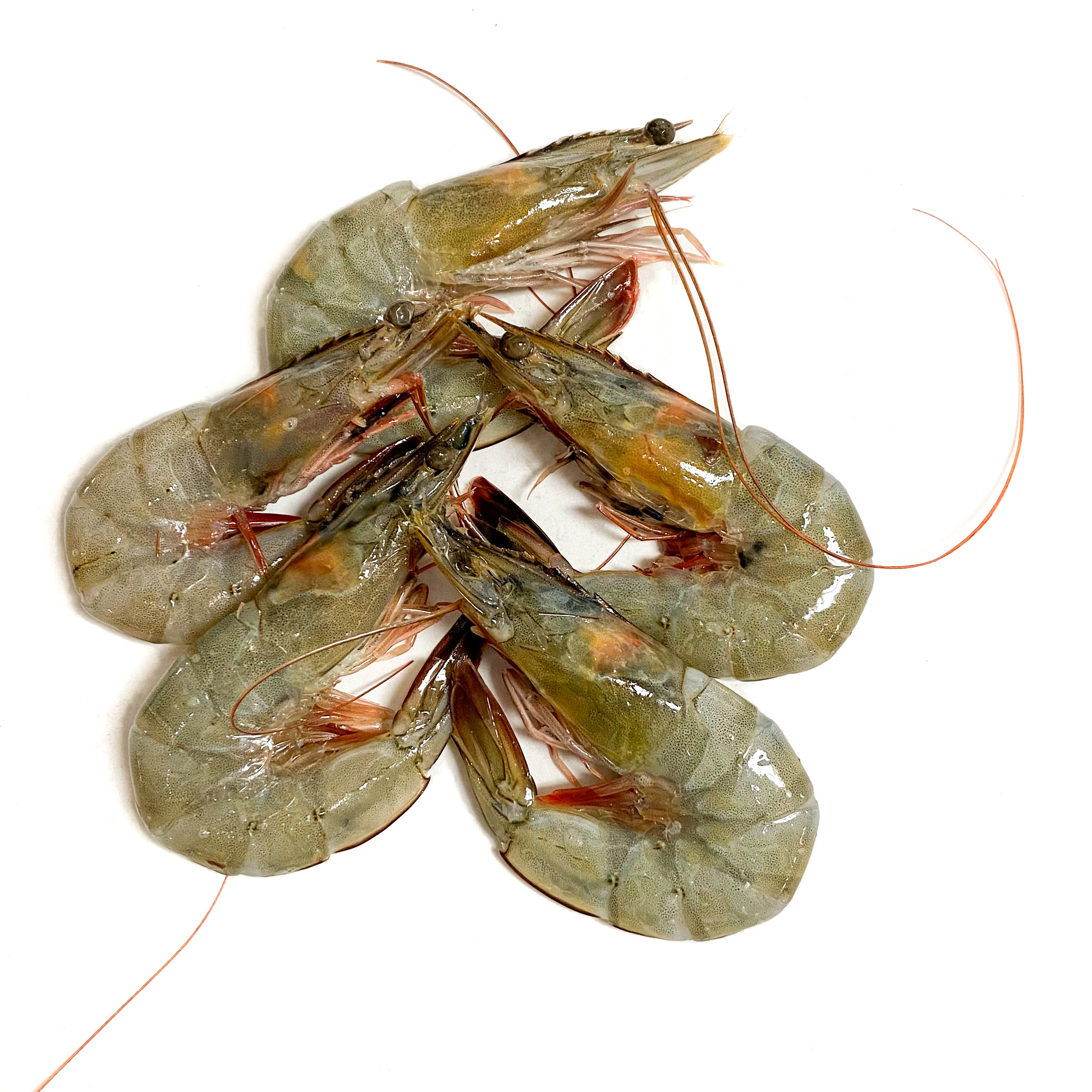 Ecuadorian Headon Shrimp with Chili Garlic Sauce • Harbor Fish Market