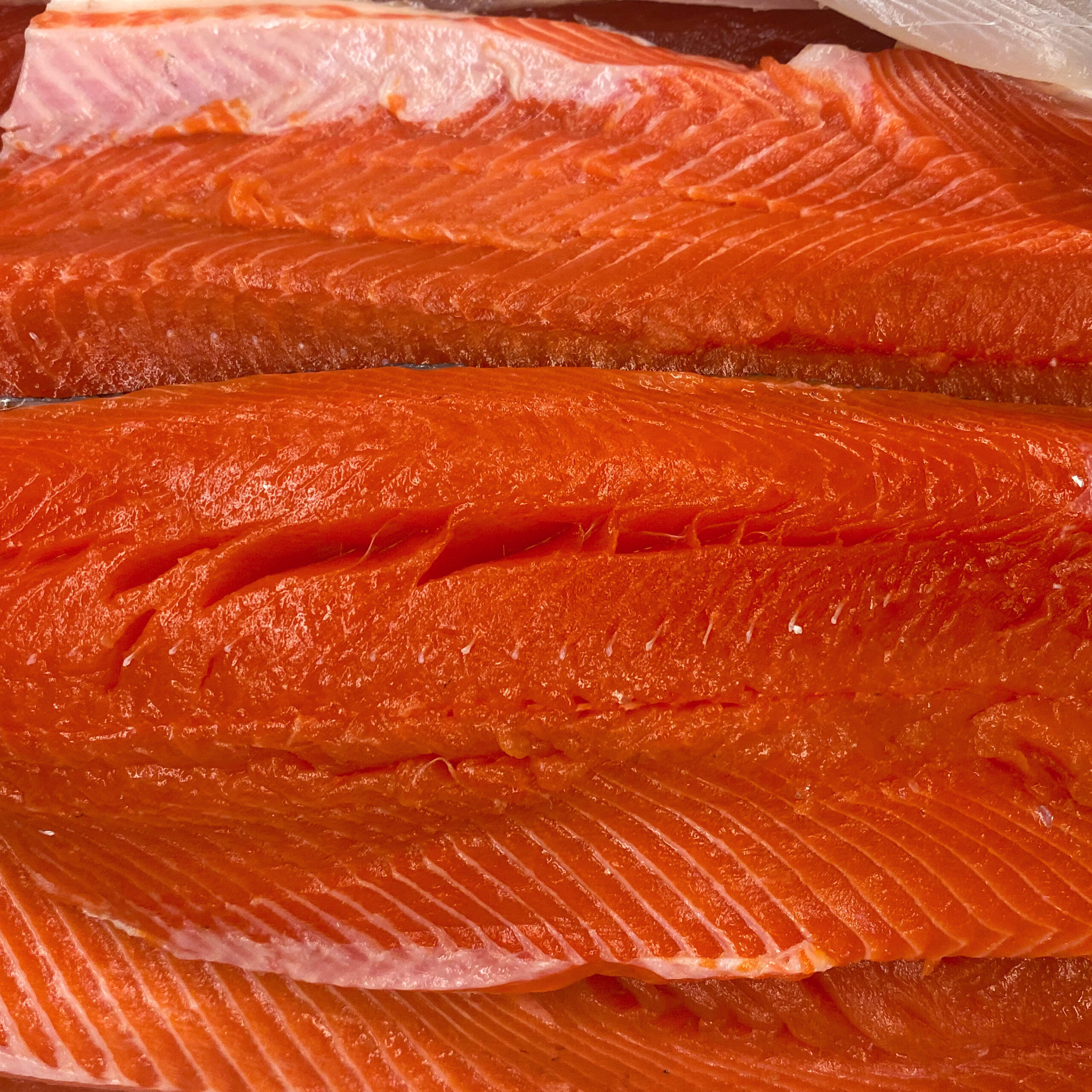 Wild Pacific Salmon (Whole Sides) • Harbor Fish Market