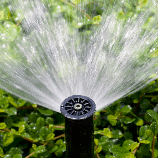 Sprinkler Systems Harbor Greenscapes